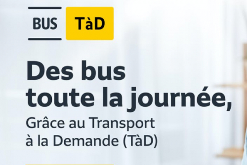 Transport à la demande (TàD) Transport à la demande (TàD)