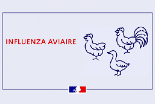 INFLUENZA AVIAIRE EN ESSONNE INFLUENZA AVIAIRE EN ESSONNE