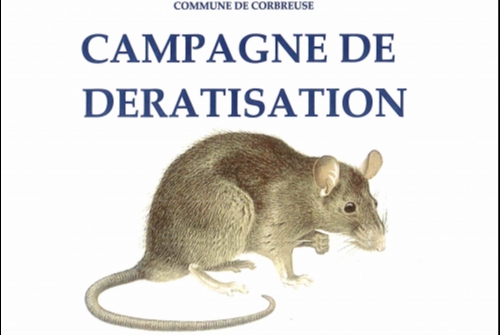 Campagne de dératisation Campagne de dératisation
